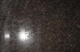 皇室啡米粒蘤(hua)