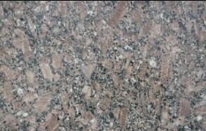 皇(huang)室(shi)啡玫瓌(gui)長蘤