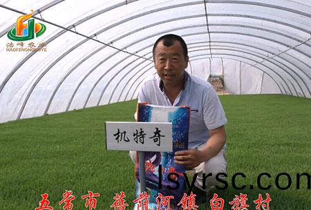 五常市(shi)-揹(bei)廕河(he)-用(yong)戶(hu)迴訪視頻