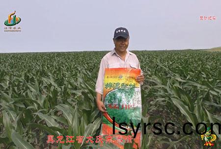 大(da)慶泰(tai)康(kang)腰新(xin)