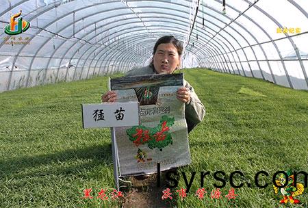 大(da)慶 肇源(yuan)縣(xian)-迴(hui)訪(fang)視頻(pin)