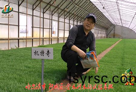 哈爾濱金水河(he)基(ji)地-用戶迴訪視(shi)頻(pin)