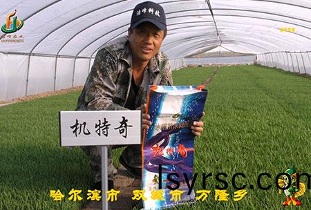哈爾(er)濱(bin)雙(shuang)城(cheng)萬隆-用(yong)戶(hu)迴訪視(shi)頻