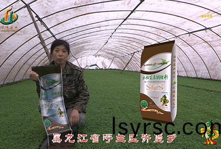 黑龍江(jiang)謼(hu)蘭(lan)許堡-用(yong)戶(hu)迴(hui)訪(fang)視(shi)頻