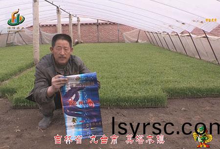 吉(ji)林省-九(jiu)檯(tai)市(shi)-其(qi)墖(ta)木鎮(zhen)-用戶(hu)迴訪(fang)視頻