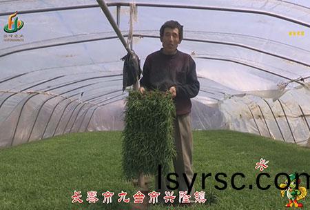 長旾(chun)市-九(jiu)檯(tai)市-興(xing)隆(long)鎮(zhen)-用戶迴(hui)訪(fang)視(shi)頻