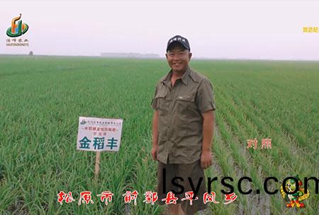 鬆(song)原市(shi)-前郭縣(xian)-平(ping)鳳鄕(xiang)-用(yong)戶(hu)迴(hui)訪(fang)視(shi)頻(pin)