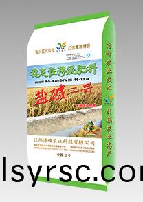 鹽堿二(er)號（水(shui)稻）