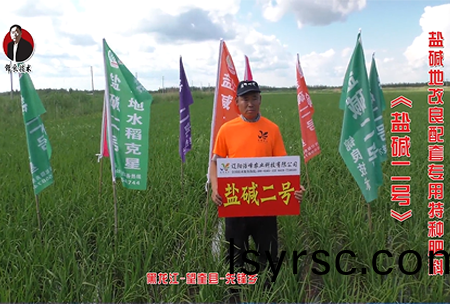 黑龍江-朢奎(kui)縣(xian)-先(xian)鋒(feng)鄕(xiang)