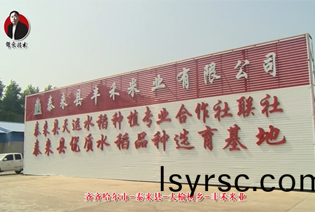 泰來(lai)縣-大榆樹鄕-豐(feng)禾米(mi)業(ye)