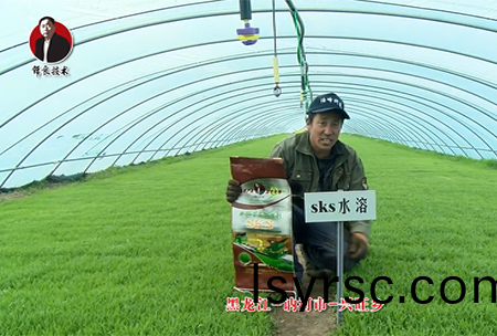 黑龍(long)江 訥(ne)河(he)市 興(xing)旺鄕(xiang)