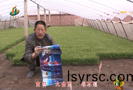 吉林其墖(ta)木(mu)鎮(zhen)1